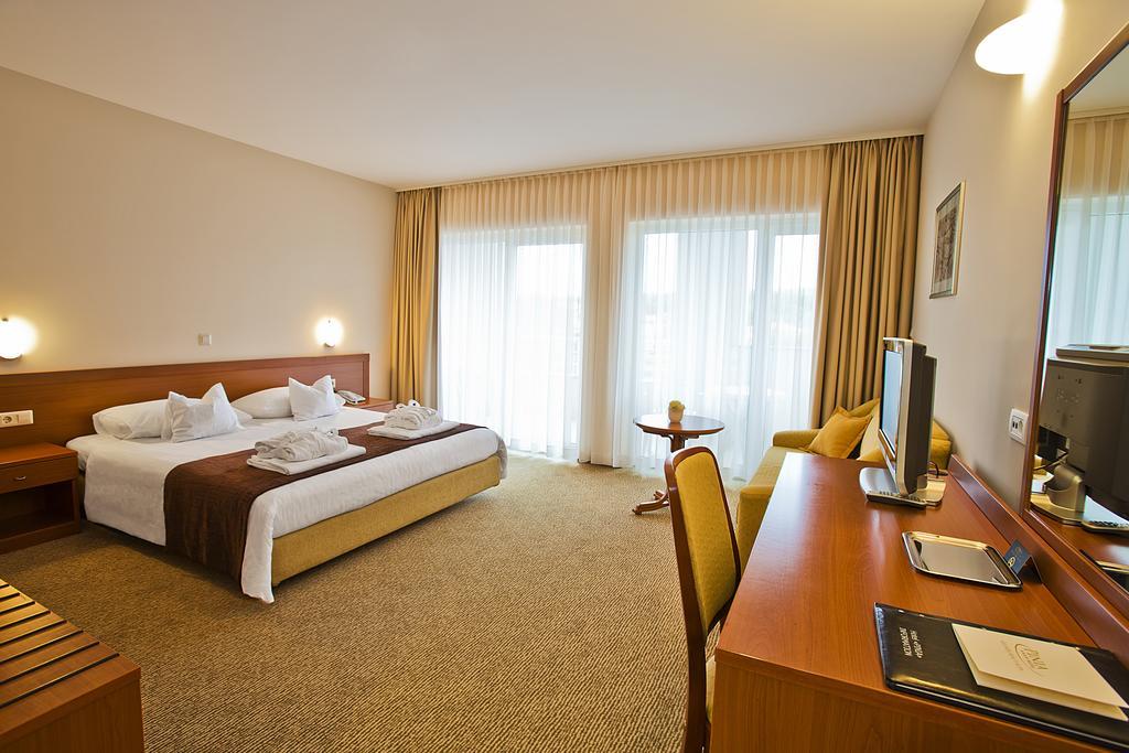 Spa & Wellness Hotel Pinia 말린스카 객실 사진